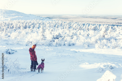 Lapland Winter wonderland