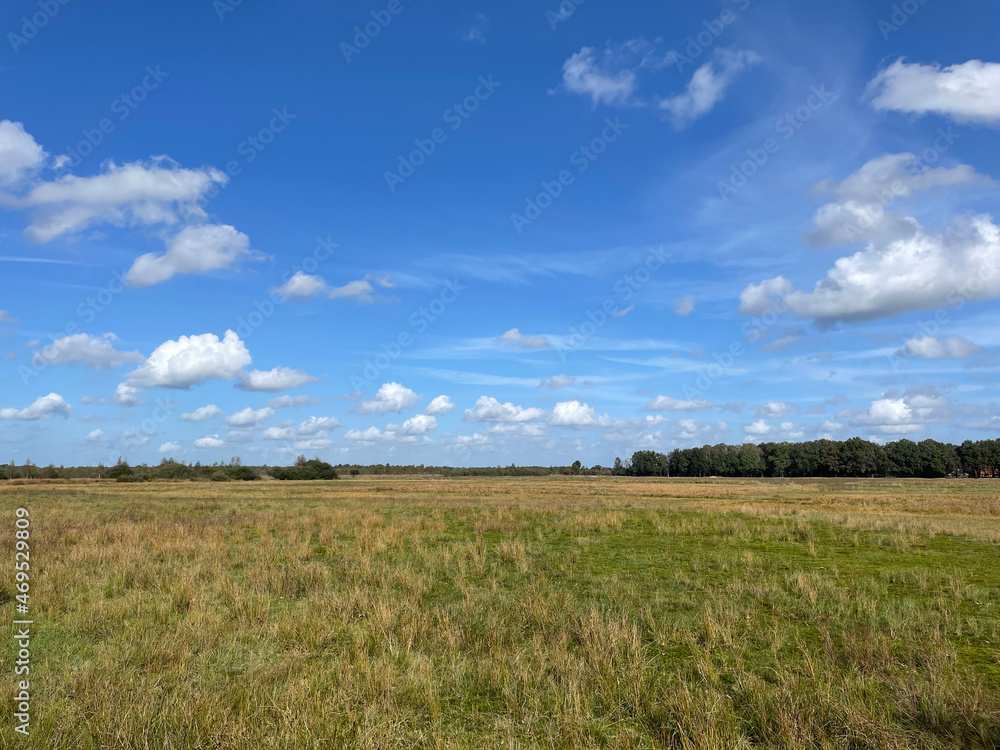 Nature scenery around Haaksbergen