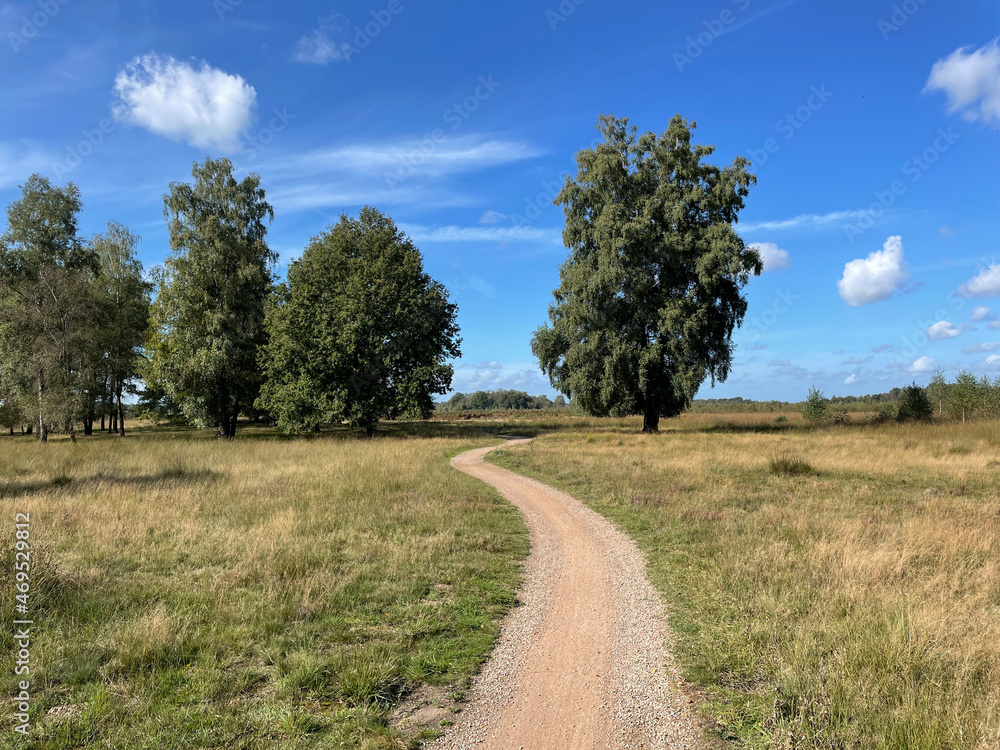 Senery from around Haaksbergen