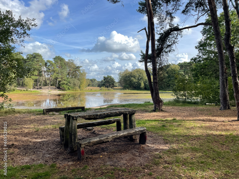 Wooden park bench at a lake around Haaksbergen Wooden park bench at a lake around Haaksbergen