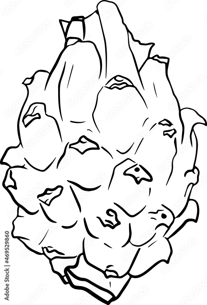 Vector hand drawn set of pitaya. Dragon fruit illustration. Delicious tropical vegetarian objects. Vector hand drawn set of pitaya. Dragon fruit illustration. Delicious tropical vegetarian objects.