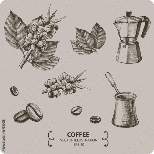Coffee and coffee beans, vector elements, hand drawn elements