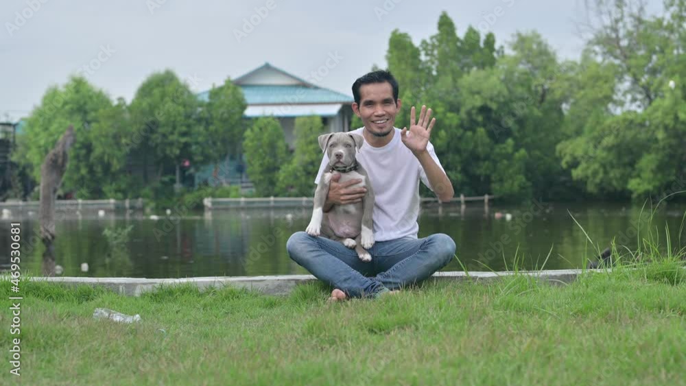 Super dad playing with funny puppy dog American bully Super dad playing with funny puppy dog American bully