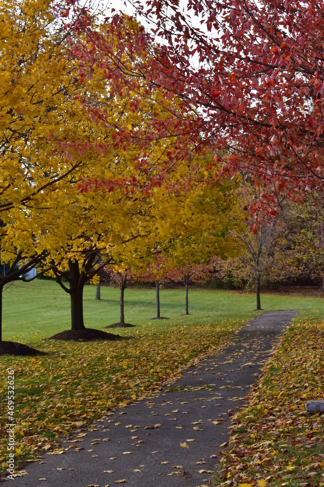 Naklejka premium Autumn leaves in the park