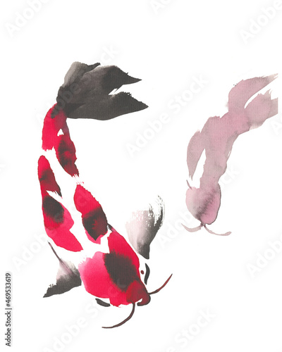Watercolor Illustration of Coi Carps