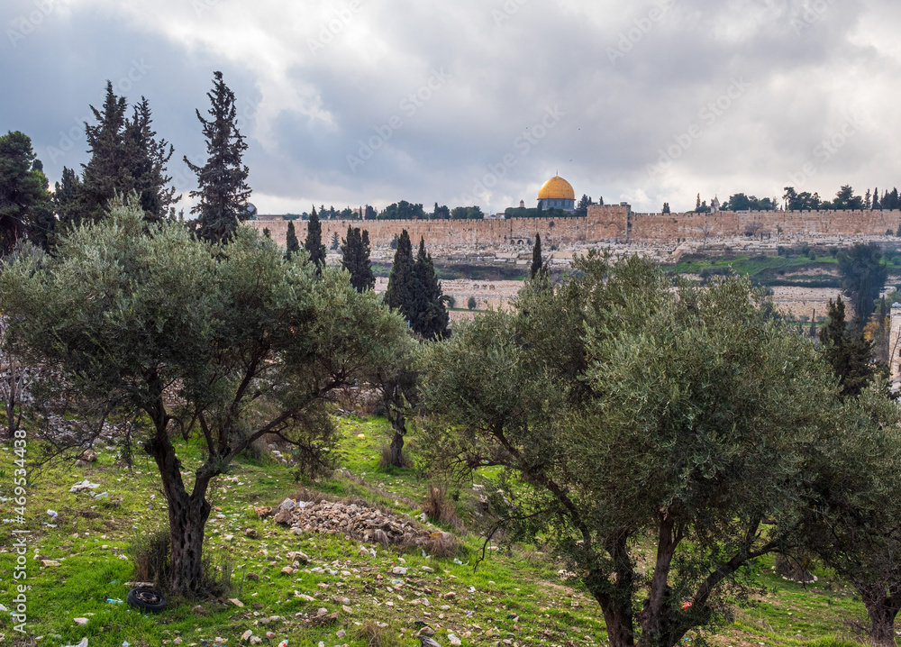 Cityscape of Jerusalem seen from the real Garden of Gethsemane