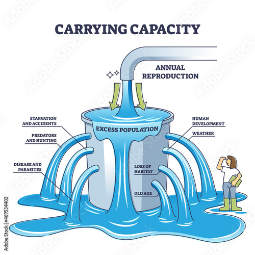 Carrying capacity as maximum population size for population outline diagram. Labeled educational explanation for sustainable balance between nature and society annual reproduction vector illustration.