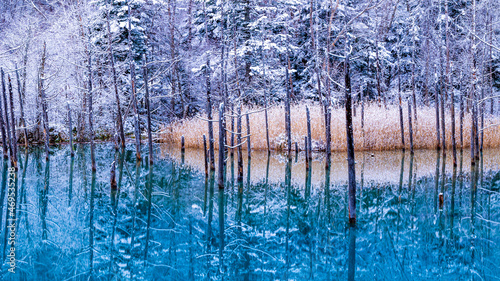 北海道　美瑛町　青い池　冬