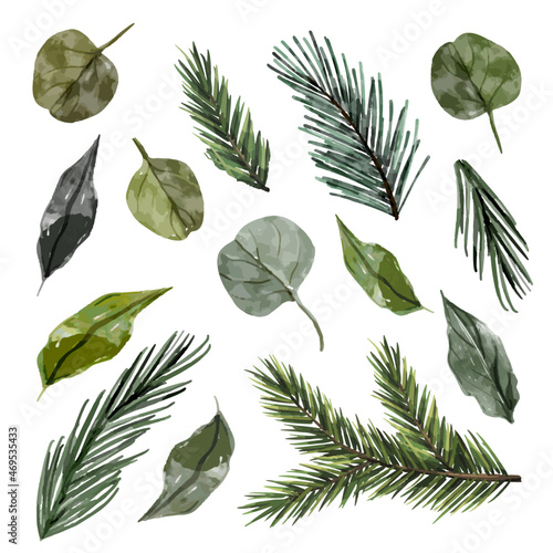 Watercolor illustrations of christmas tree branches and leaves collection