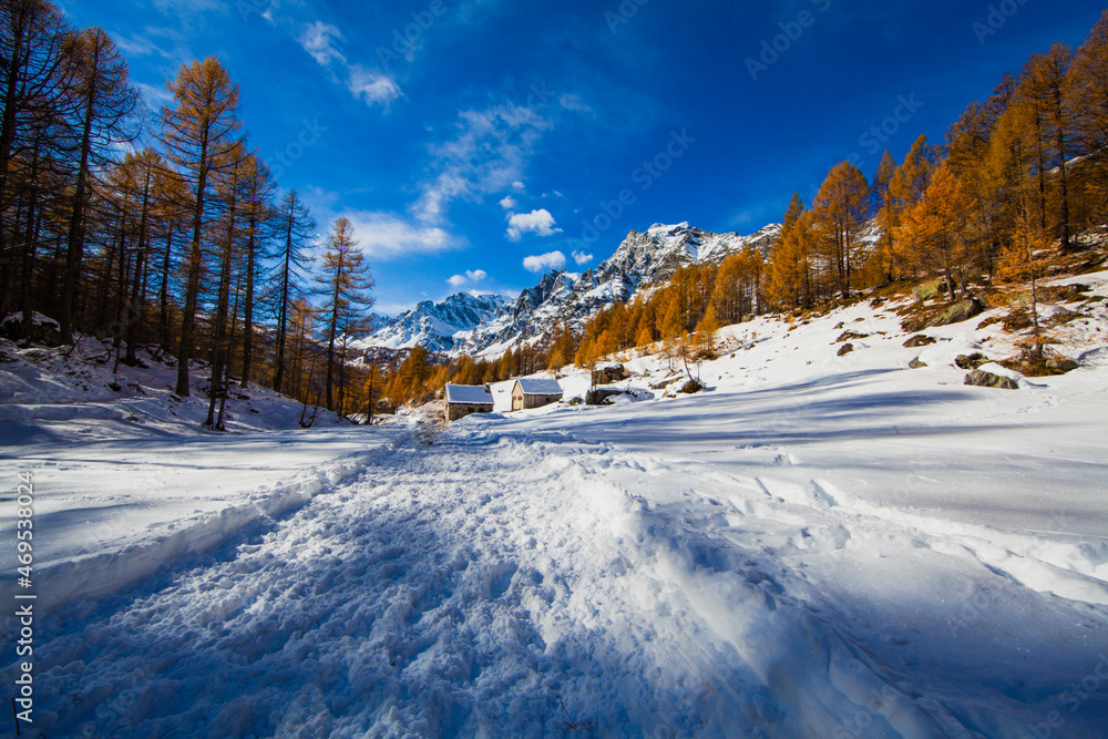 snowy alpine panorama