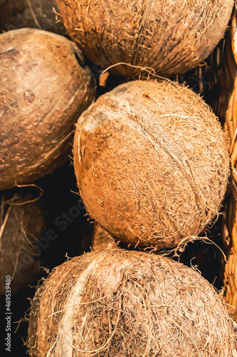 Ripe coconuts at farmers market. Selling exotic eco-friendly organic food. Tropical fruits in basket.