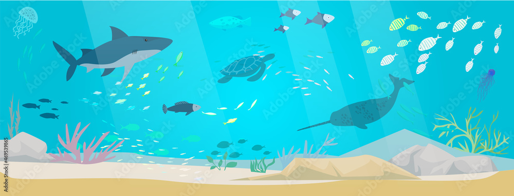 Underwater landscape with sea creatures. Large predatory marine mammals, killer whale and narwhal in ocean. Fish and marine life swimming in salty sea water. Whales and fishes, aquatic world