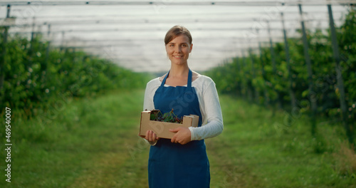 Caucasian young woman holding berry box at fruit tree green house. Farm concept.