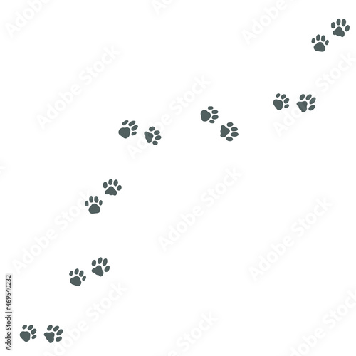Tiger paw print. Silhouette. Isolated prints on white background