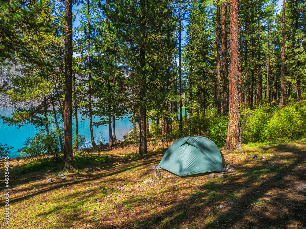 Camping in a shady green forest on the lake shore.Blue tent in a coniferous mountain forest. Peace and relaxation in nature.