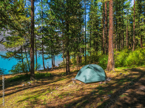 Camping in a shady green forest on the lake shore.Blue tent in a coniferous mountain forest. Peace and relaxation in nature.