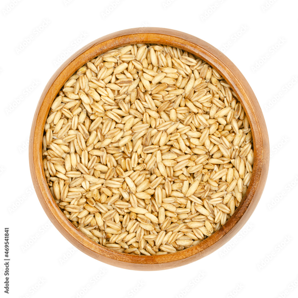 Foto Stock Raw hulless oats, in a wooden bowl. Seeds of Avena nuda known as  naked oats. The hull separates quite readily from the grain. Small yellow  grains, used in whole-food nutrition