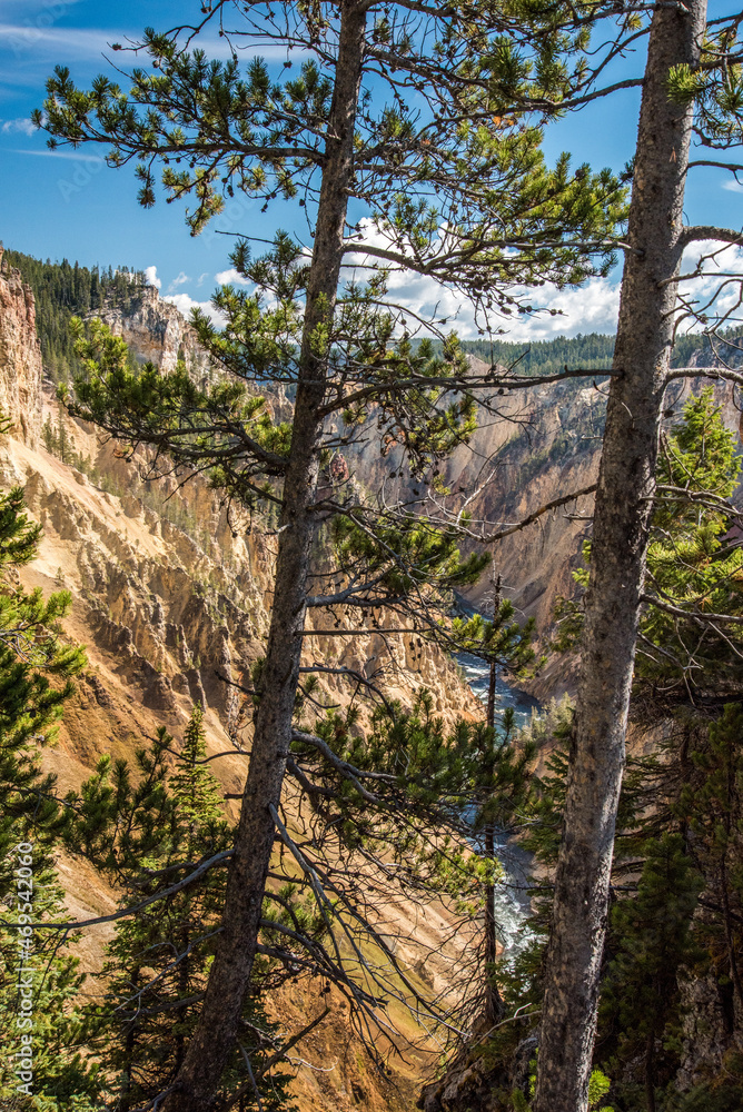 River flowing through the popular Grand Canyon of the Yellowstone River flowing through the popular Grand Canyon of the Yellowstone