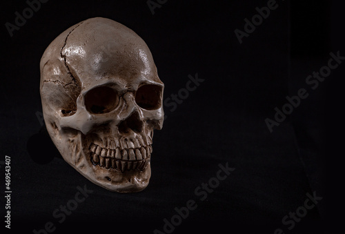 Hand-crafted plaster skull of a human