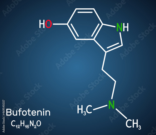 Bufotenin, 5-HO-DMT, bufotenine molecule. It is alkaloid, tryptamine derivative, hallucinogenic serotonin analog, found in toad skins, mushrooms. Structural chemical formula, dark blue background