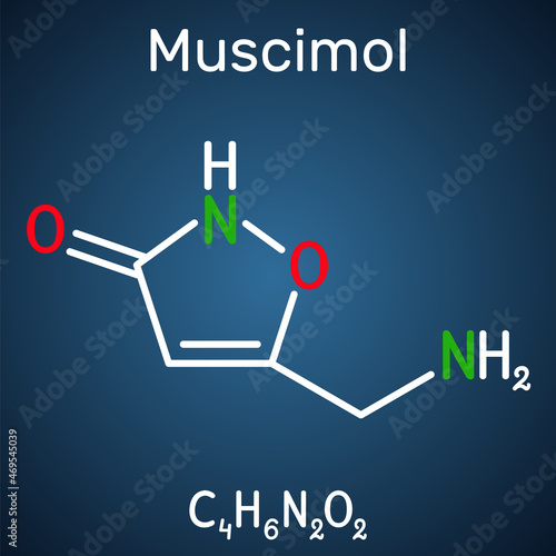 Muscimol, agarin, pantherine molecule. It is the main psychoactive component of the Amanita muscaria, red fly agaric and related species of mushrooms. Structural chemical formula on the dark blue back