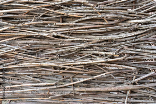 Photo of intertwined brown thin long tree roots for fence. Abstract and natural background