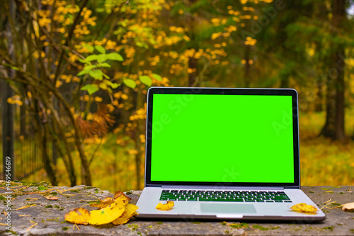 Laptop at nature, forrest and tecnology