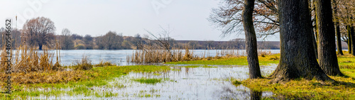Spring landscape, panorama, with trees by the river during the flood