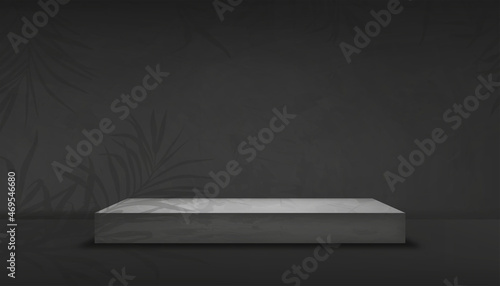 Empty Studion room with podium and palm leaves on grey wall,Background Gray Cement texture of floor, Vector 3D Backdrop of Gray Concrete surface with cracked texture. Banner for loft design