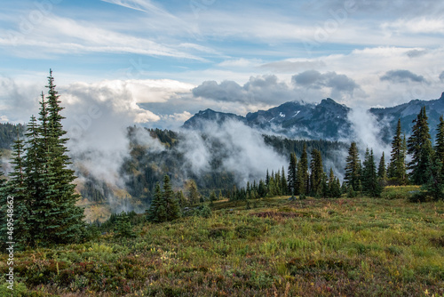 View on the magnificent Mount Rainier from Paradise Vista trail
