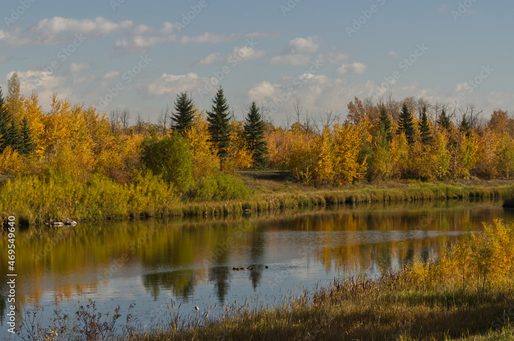 Pylypow Wetlands on a Clear Autumn Day Pylypow Wetlands on a Clear Autumn Day
