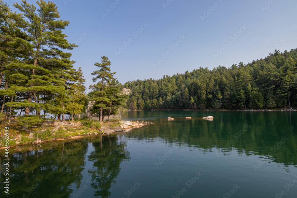Fototapeta premium reflection of trees in lake