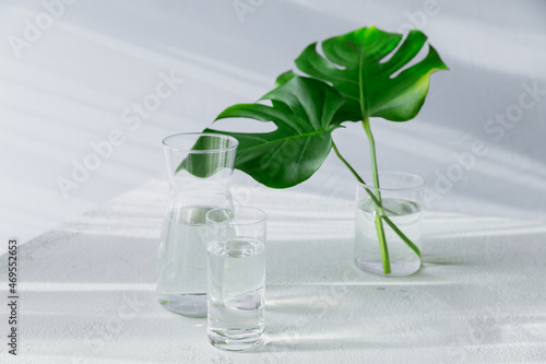 Morning glass and jar of clean water with two big green leaves