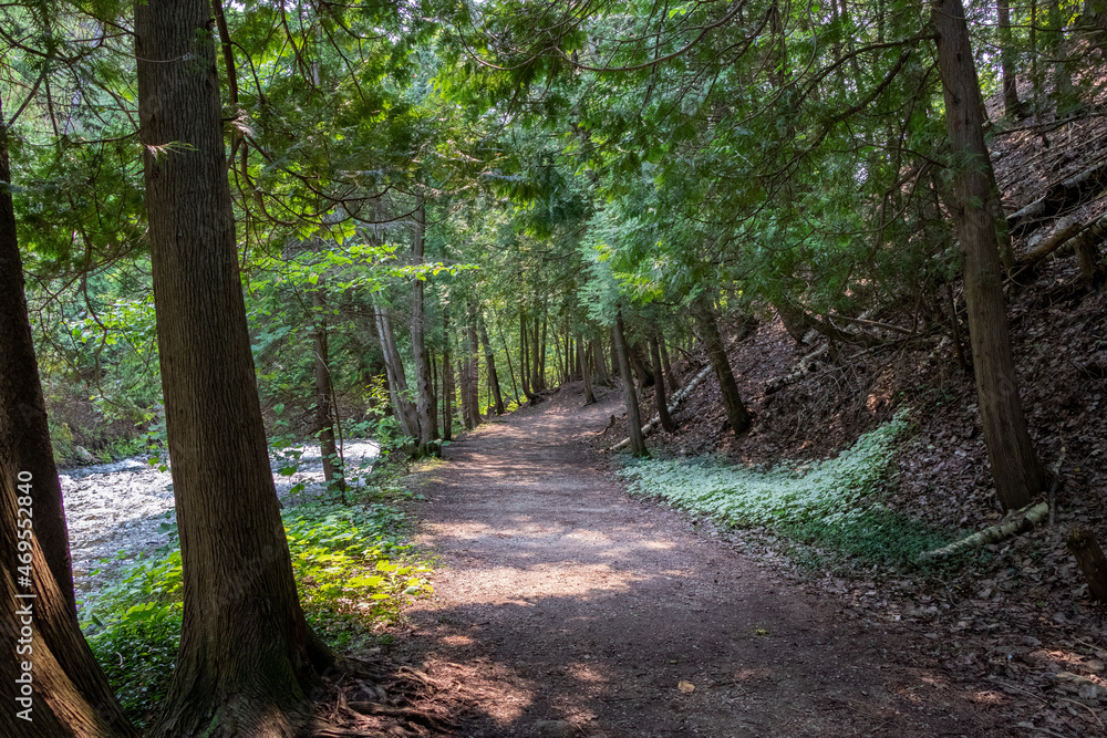 Trail in the forest at the river Trail in the forest at the river