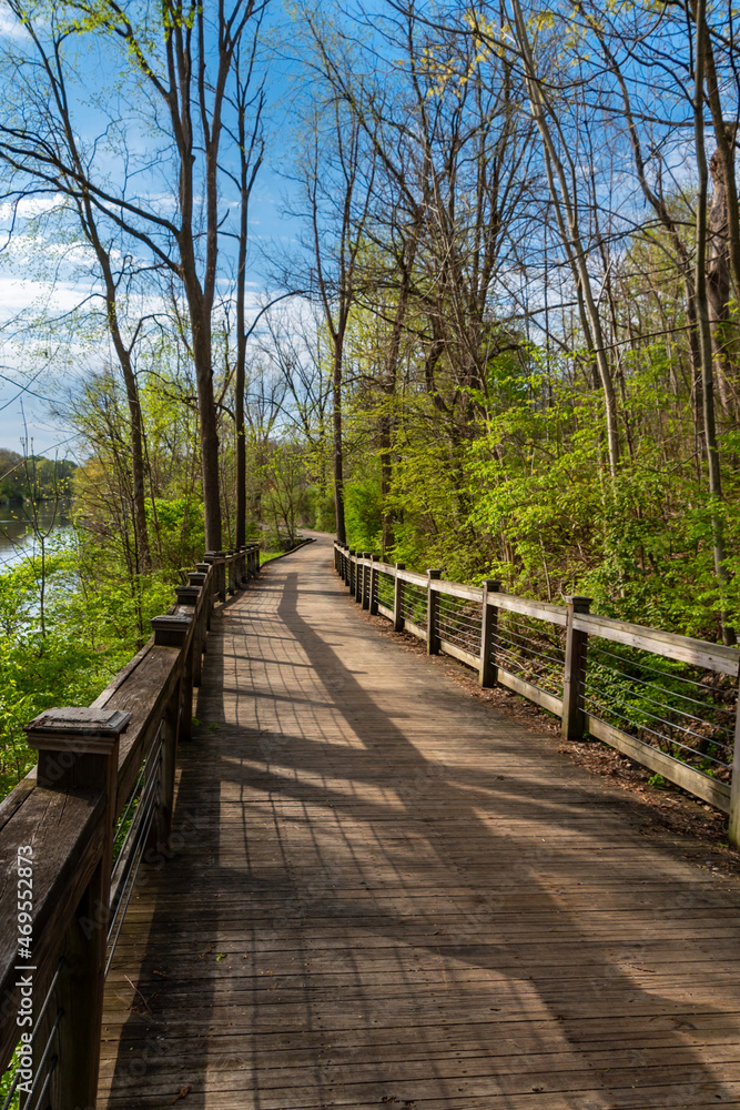 Serene boardwalk through a natural wilderness encouraging outdoor recreation
