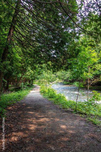 Trail in the forest at the river © Lynda