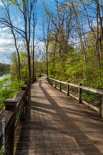 Serene boardwalk through a natural wilderness encouraging outdoor recreation