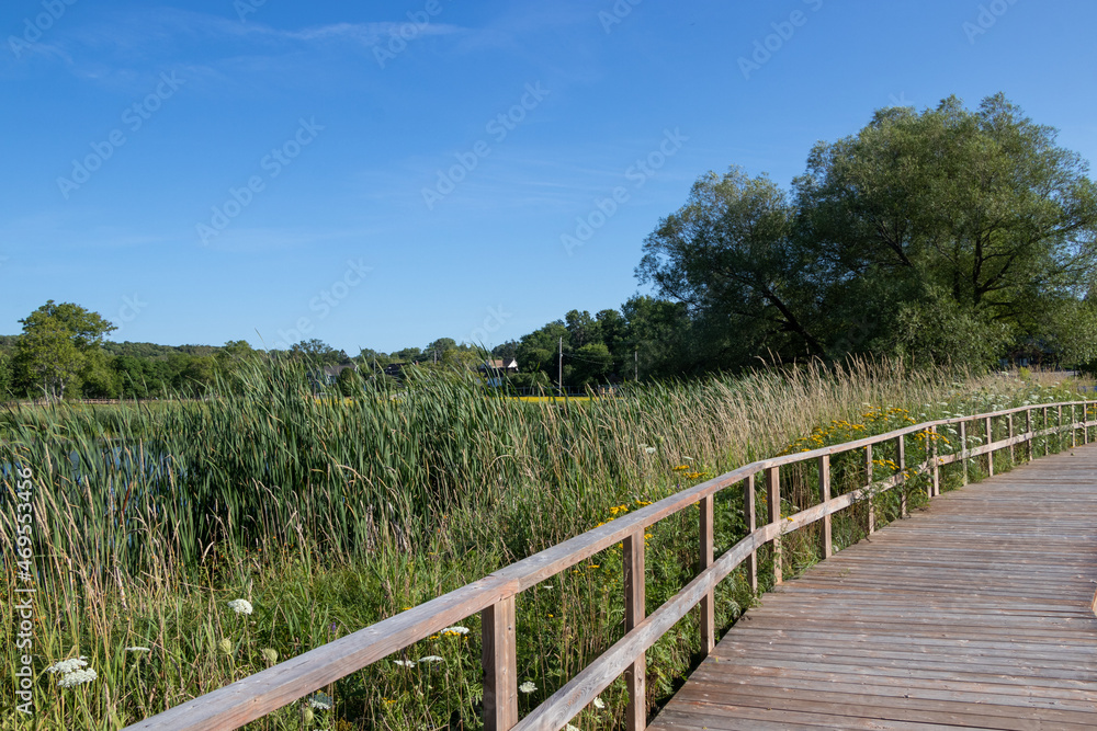 Boardwalk through a marsh on a summer day