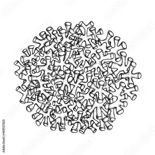 Hand drawn algae Rhodolith and coral medicine sketch for medical design treatment. Isolated design. Vector illustration.
