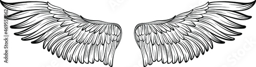 Obraz na plátně Bird wings vector illustration tattoo style