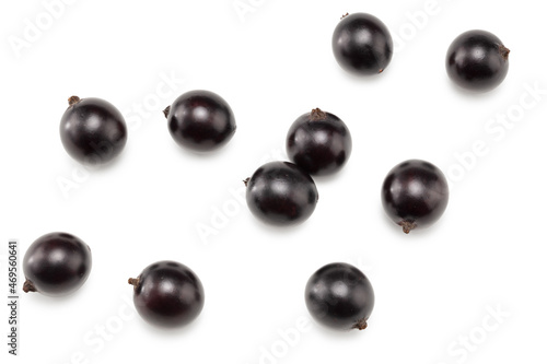 black currant isolated on white background. macro. clipping path. top view