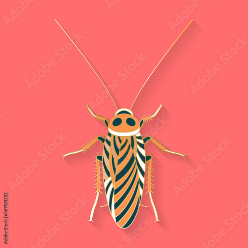 Abstract graphic insect logo