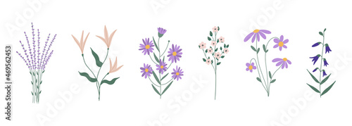 Botanical set of garden floral plants. Colorful flat vector illustration