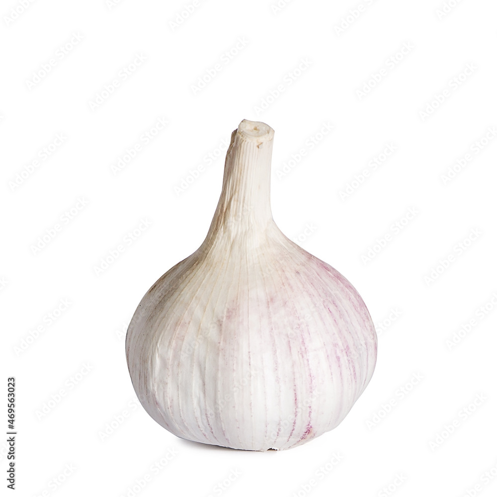 Fototapeta premium Whole light garlic in husk isolated on white background.