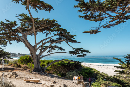 Scenic pacific coast at the Big Sur Highway No 1 in California
