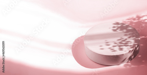 Podium for cosmetic product presentation. Abstract minimal form with geometrical form. Cylinder podium with Floral sunlight shadow. Scene to show products. Showcase, display case. Banner, top view