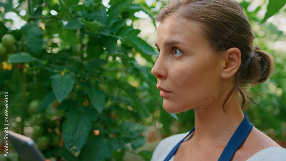 Closeup woman agronomist analysing vegetables growth level in summer garden Closeup woman agronomist analysing vegetables growth level in summer garden