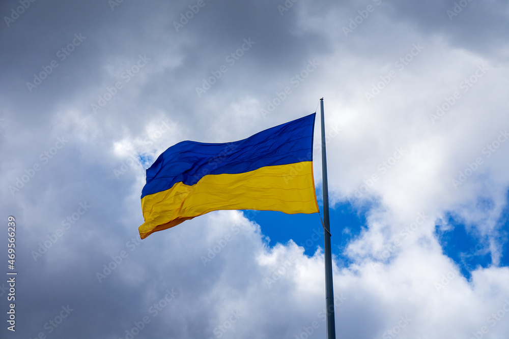 Fototapeta premium The national flag of Ukraine on a background of gray clouds. Concept. The wind is blowing.