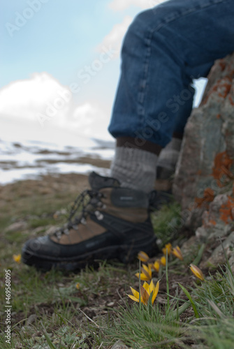 Hiker's boots against sky and snow background with some yellow crocus flowers in the foreground