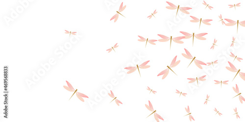 Magic rosy pink dragonfly isolated vector illustration. Summer colorful insects. Detailed dragonfly isolated baby background. Gentle wings damselflies patten. Nature beings